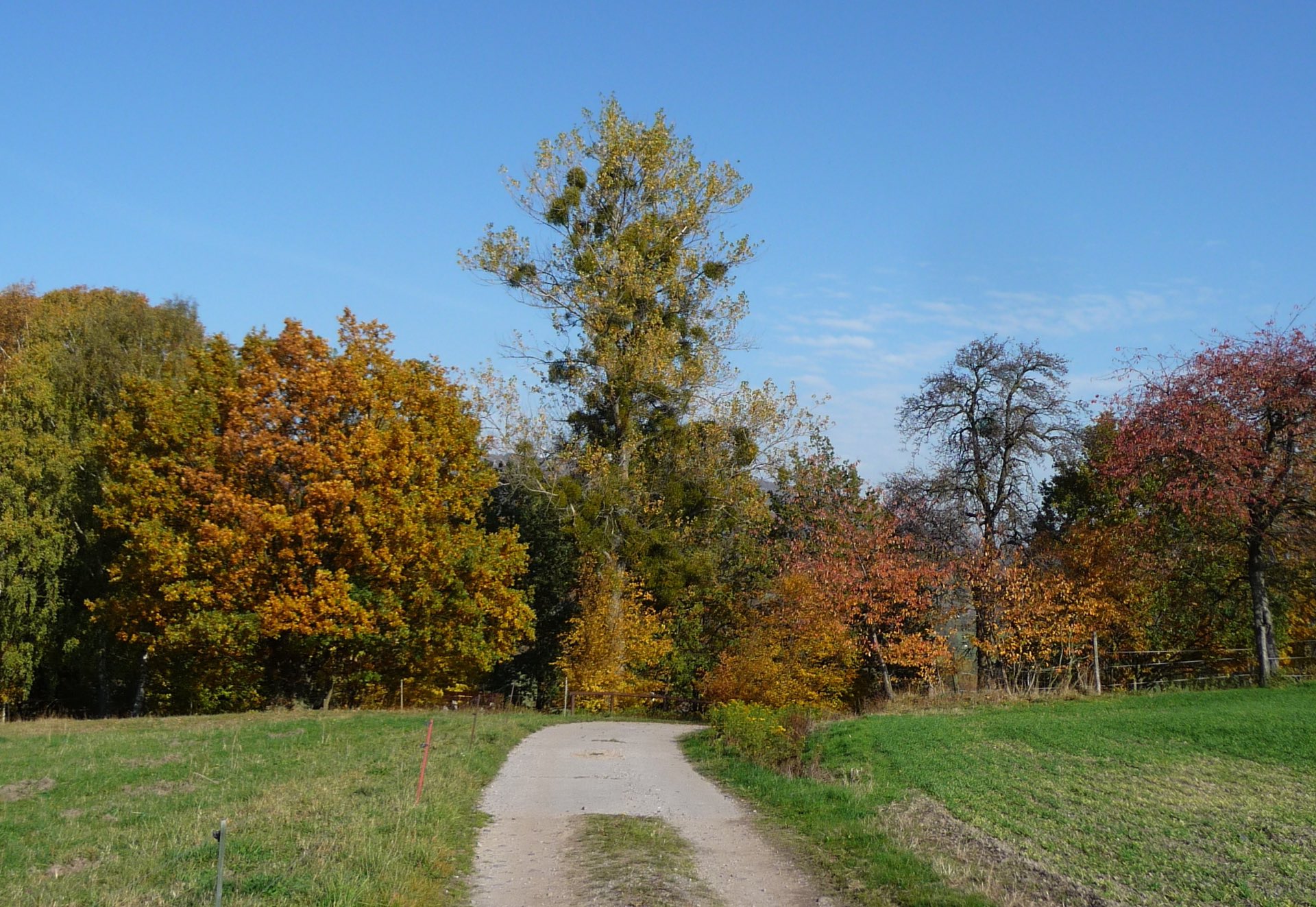 Meine Wanderungen in Thüringen